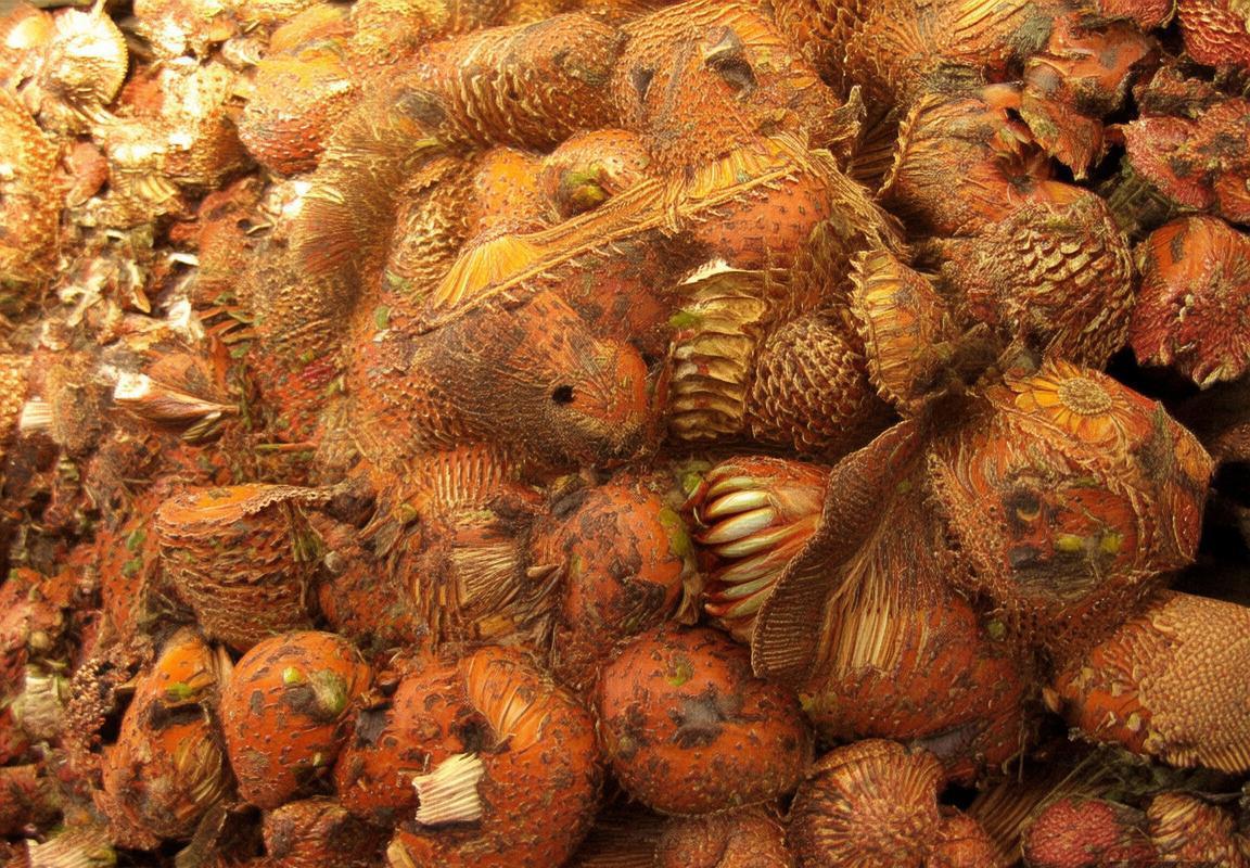 亚历山大领衔雷霆队季后赛青春风暴，半决赛蓄势待发